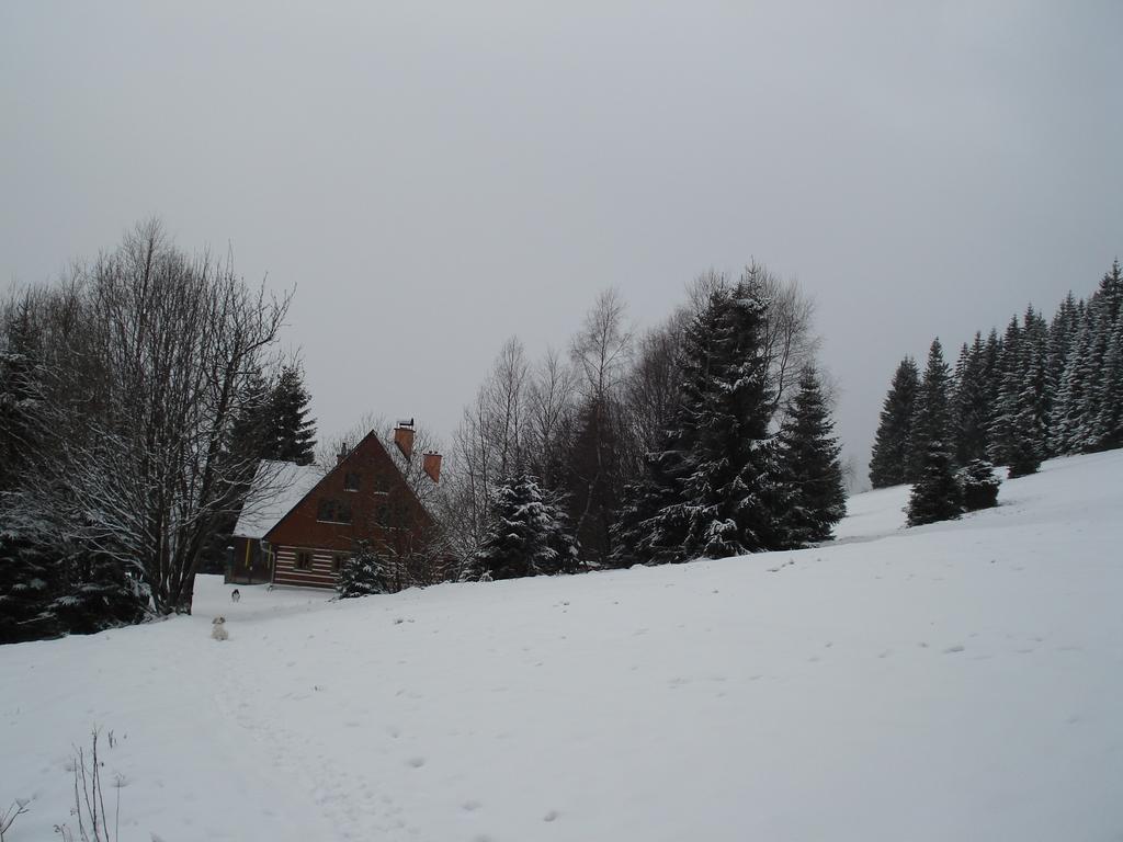 Hepnarova Bouda Hotel Horni Mala Upa Exterior photo